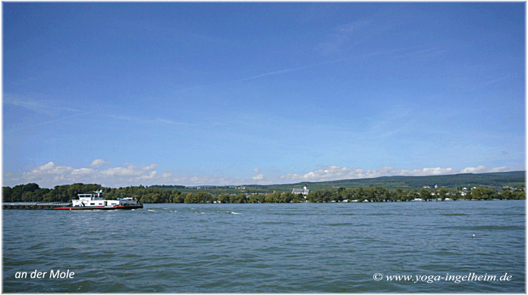 Bild des Monats von Yoga-Ingelheim in Ingelheim