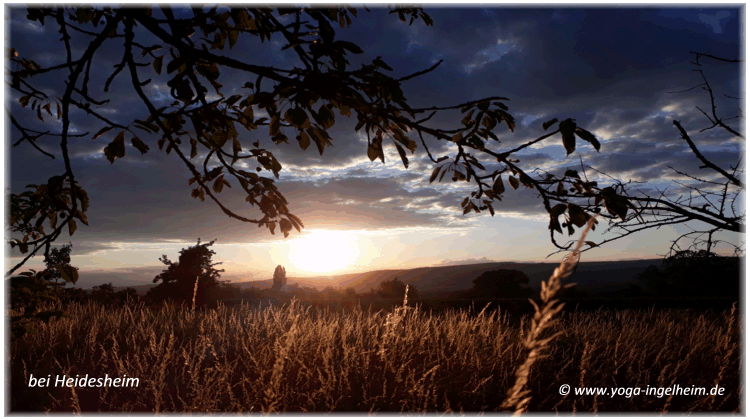 Bild des Monats von Yoga-Ingelheim in Ingelheim