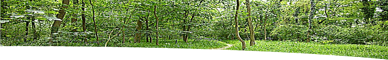 Indexbild Yoga-Offenbach